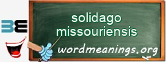 WordMeaning blackboard for solidago missouriensis